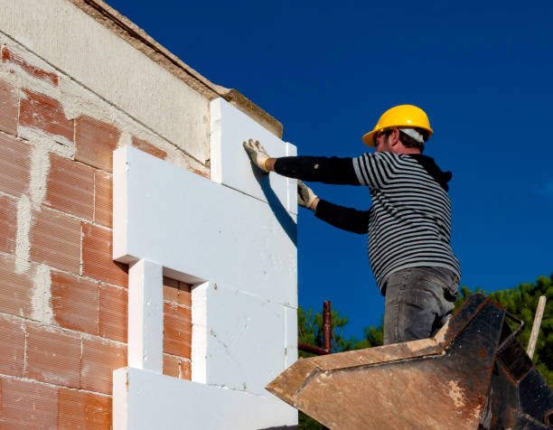 Best Geographic-Specific Insulation Services in Pulaski, VA