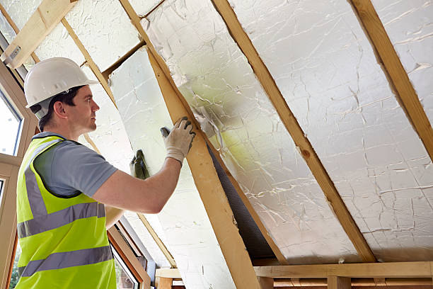 Best Eco-Friendly Insulation in Pulaski, VA