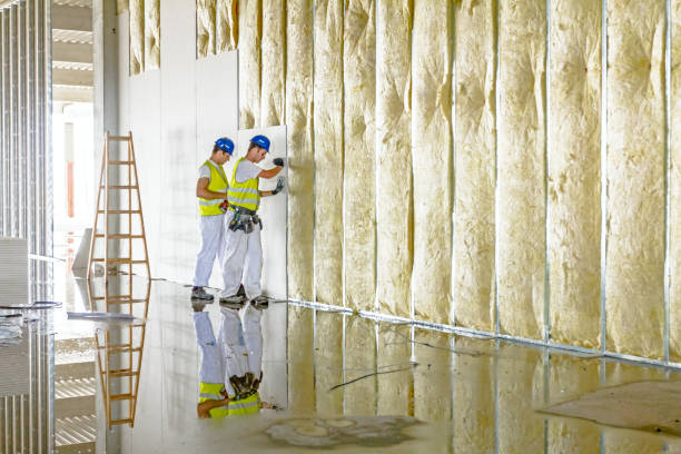 Types of Insulation We Offer in Pulaski, VA